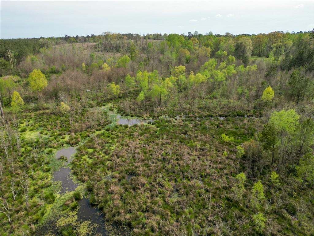 29380 Archie Simmons Road, Mount Hermon, Louisiana image 7