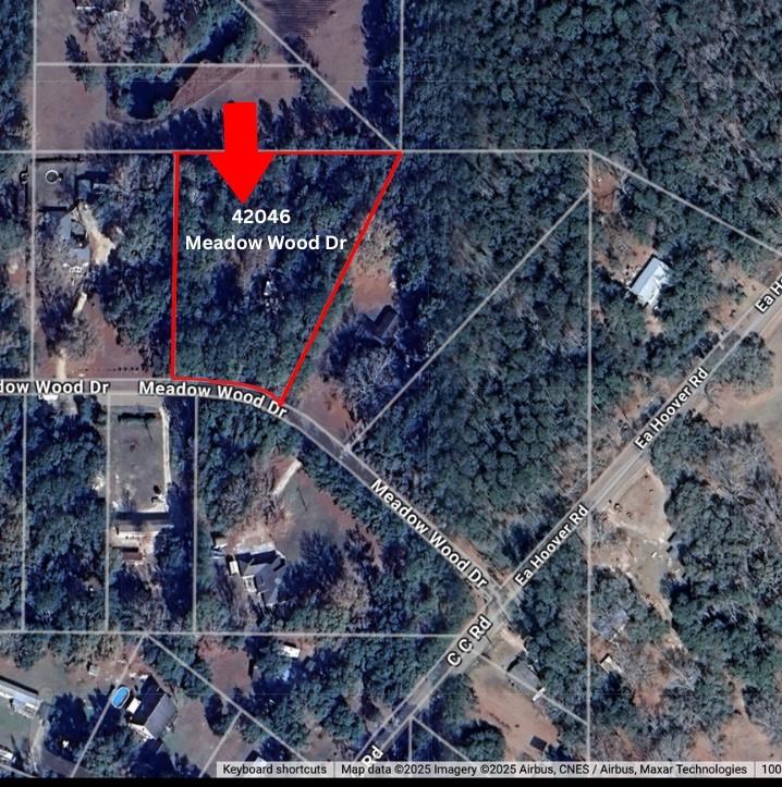 42046 Meadow Wood Drive, Ponchatoula, Louisiana image 1