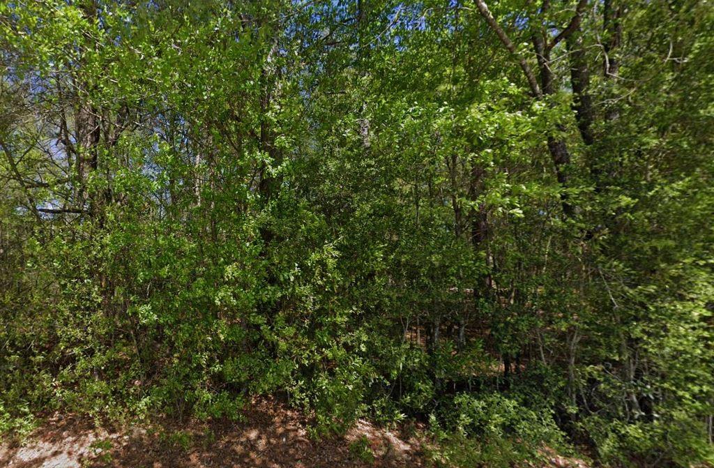 Lot 23 Gliderport Road, Loranger, Louisiana image 1