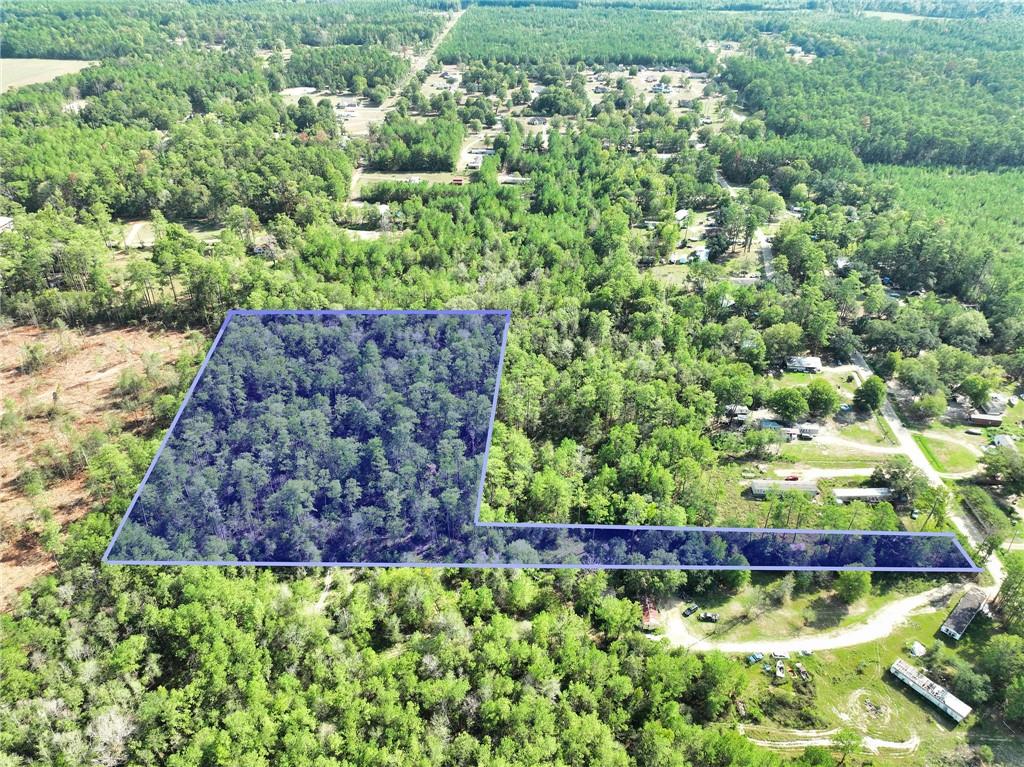 Longleaf Drive, Independence, Louisiana image 1