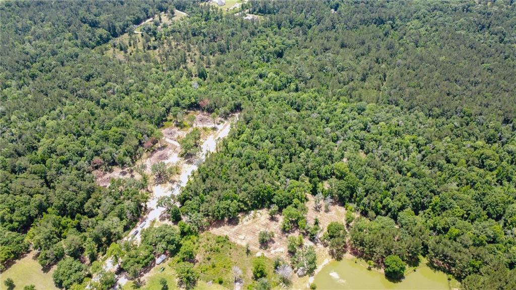 50319 (Lot 1) Allen Drive, Loranger, Louisiana image 10