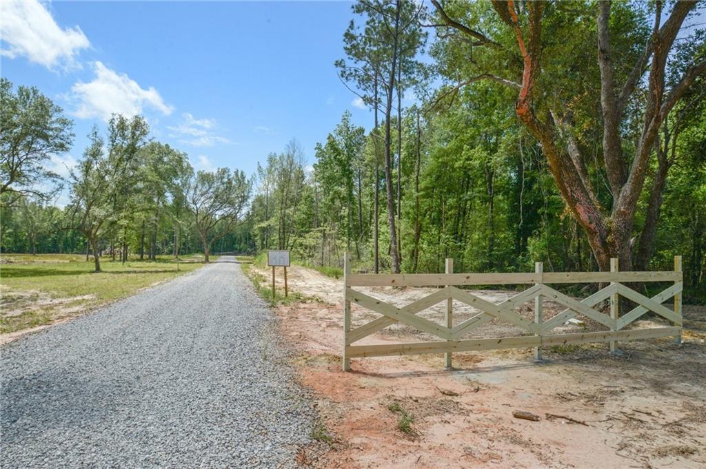 50319 (Lot 1) Allen Drive, Loranger, Louisiana image 2