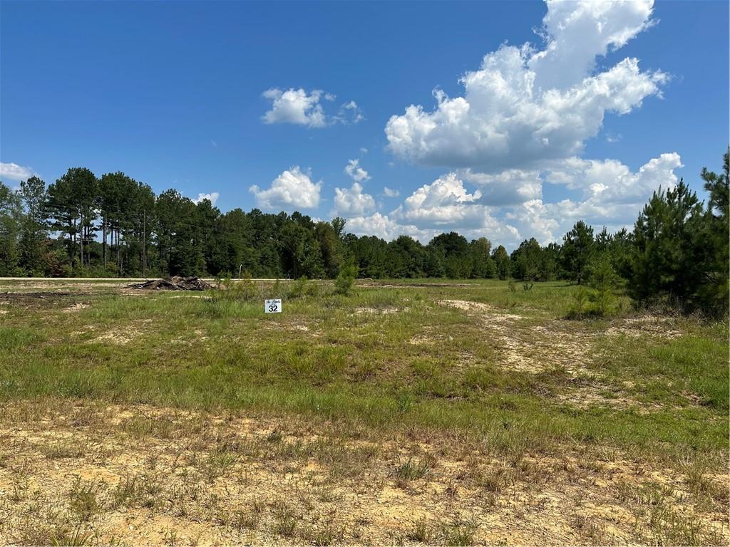 Lot 32 The Banks Drive -hwy 16 Highway, Franklinton, Louisiana image 3