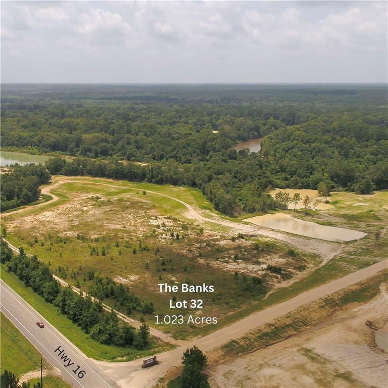Lot 32 The Banks Drive -hwy 16 Highway, Franklinton, Louisiana image 9