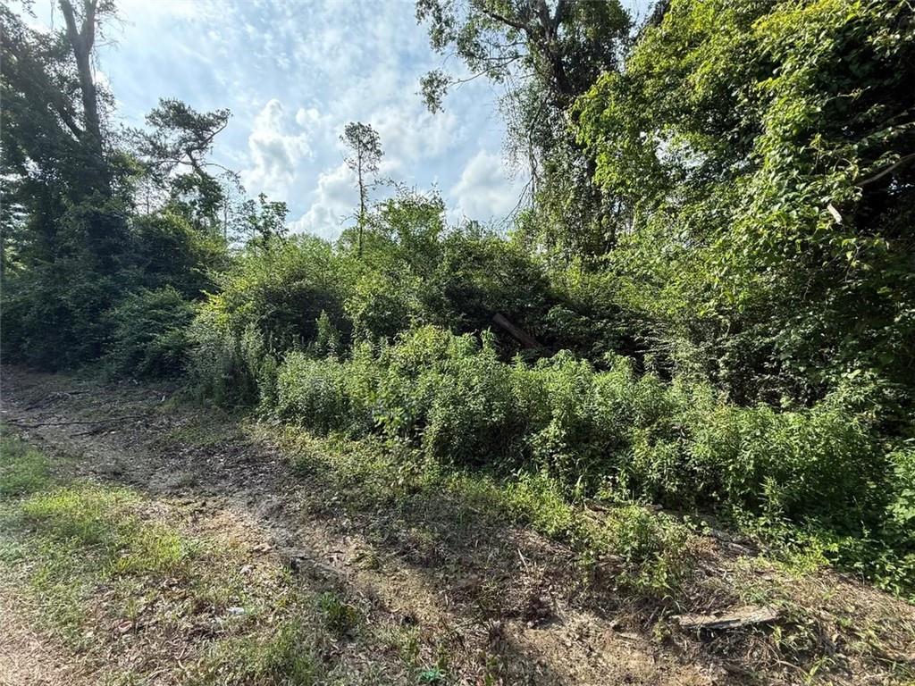 Seibert Road, Roseland, Louisiana image 5