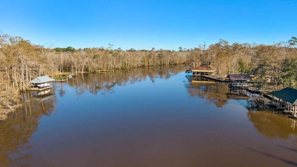 42 Riverdale Drive, Covington, Louisiana image 43