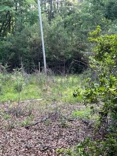 1127 California Nw Road, Brookhaven, Mississippi image 11