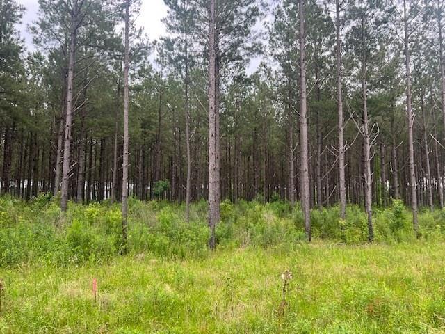 2423B E Lincoln Road, Brookhaven, Mississippi image 1