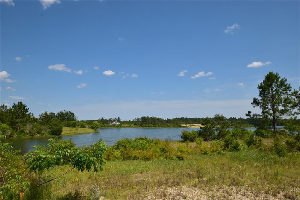 52364 Shore Drive, Franklinton, Louisiana image 21