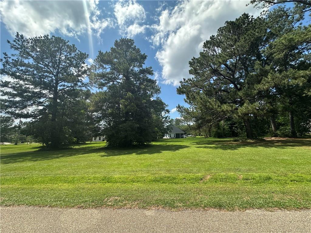 Northwoods Drive, Abita Springs, Louisiana image 3