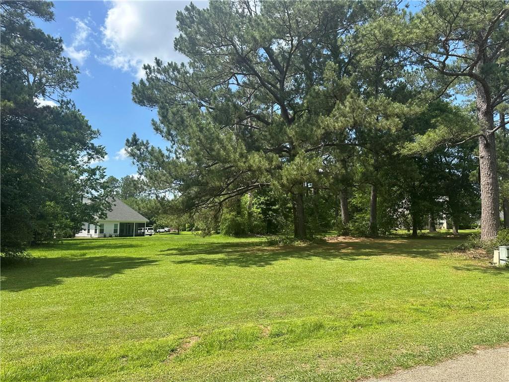 Northwoods Drive, Abita Springs, Louisiana image 4