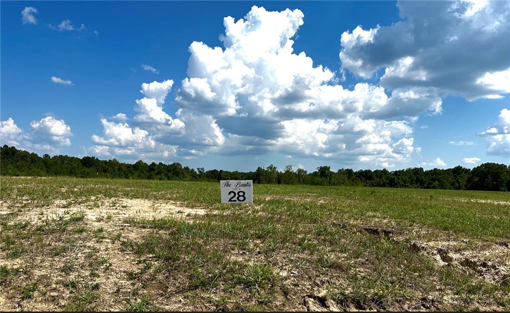 Lot 28 The Banks Drive -hwy 16 Highway, Franklinton, Louisiana image 1