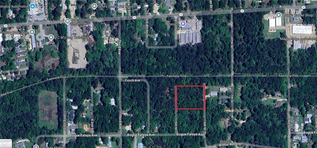E 5th Street, Covington, Louisiana image 6