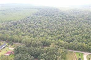 20.22 AC Richardson Lane, Springfield, Louisiana image 2