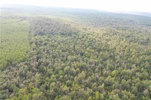 20.22 AC Richardson Lane, Springfield, Louisiana image 3