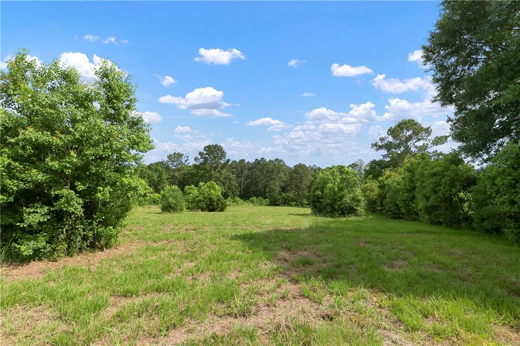 15488 Lake Ramsey Road, Covington, Louisiana image 29