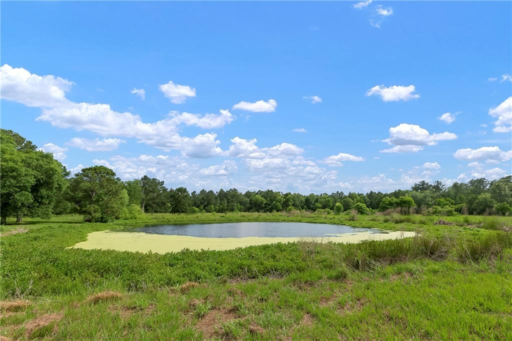 15488 Lake Ramsey Road, Covington, Louisiana image 35