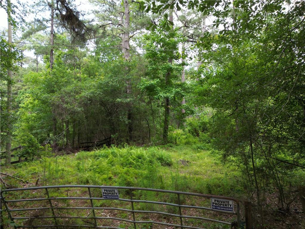 81490 Dale Drive, Folsom, Louisiana image 10