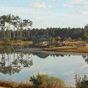 S Fairway Drive, Madisonville, Louisiana image 14