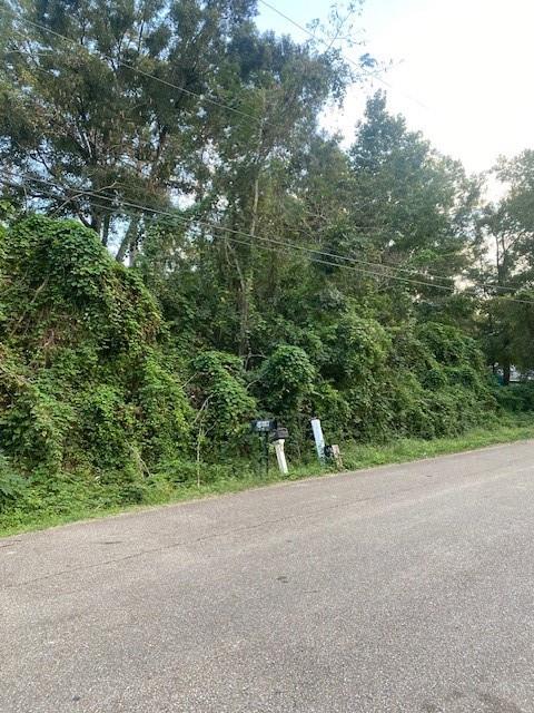 1320 N.buchanan Street, Covington, Louisiana image 1