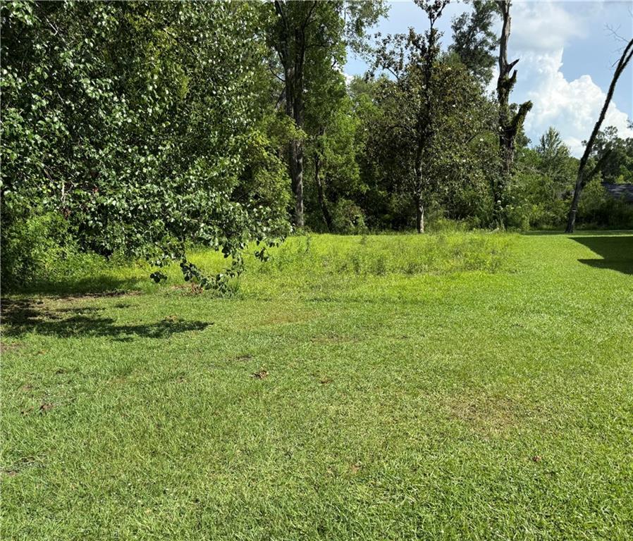 301 White Street, Hammond, Louisiana image 2