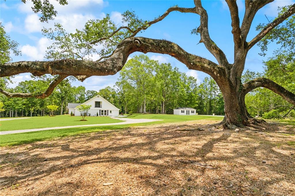 84012 N Factory Road, Folsom, Louisiana image 4