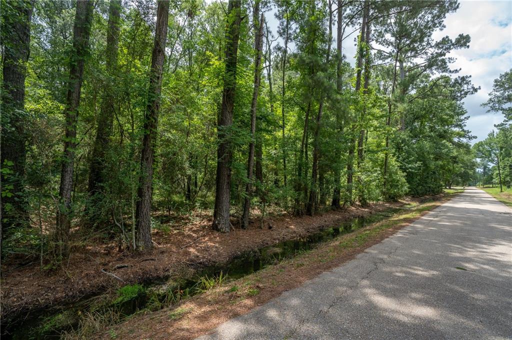 000 Chills Blue Springs Road, Hammond, Louisiana image 2