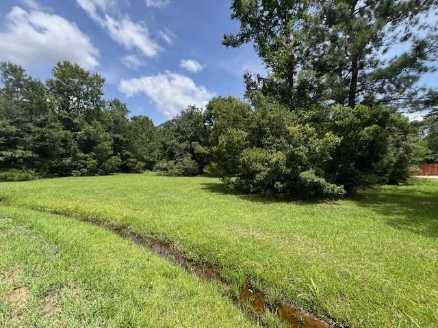 24520 Paradise Lane, Lacombe, Louisiana image 7