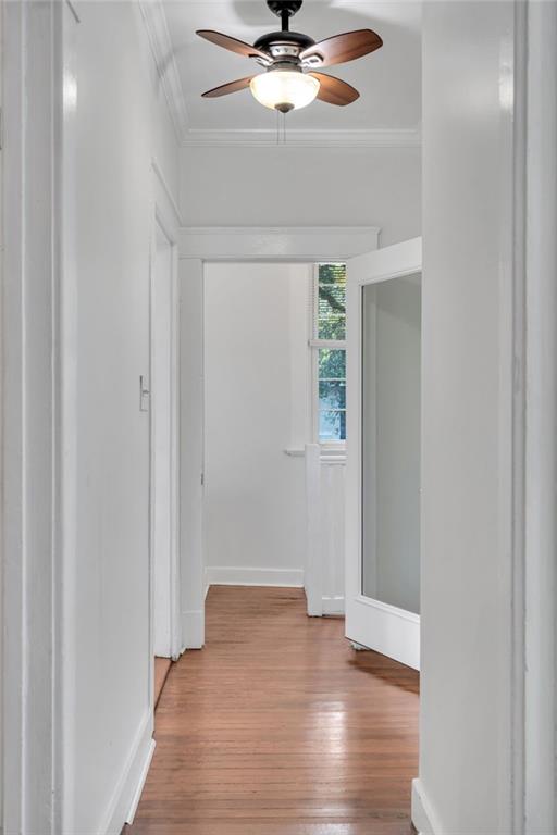 2202 Wirth Place, New Orleans, Louisiana image 30