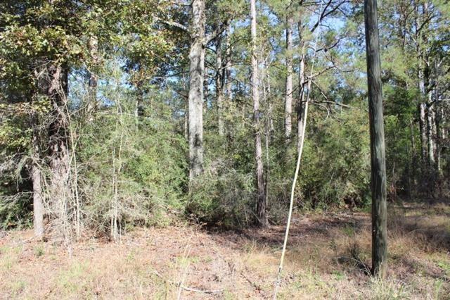 Happy Woods Road, Springfield, Louisiana image 13