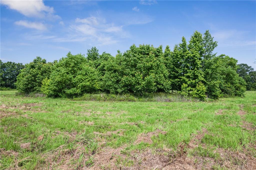 29657 Stein Road, Sun, Louisiana image 10