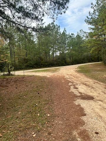 00 Jarrell Town Road, Bogalusa, Louisiana image 10