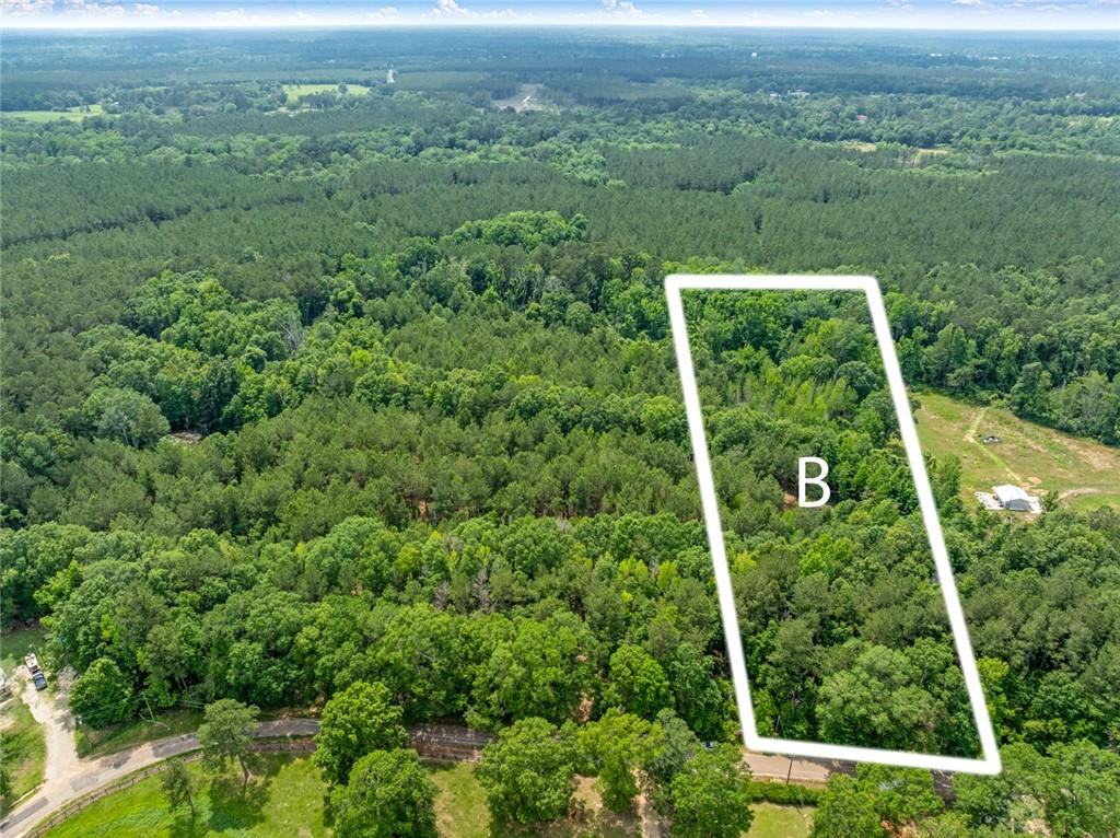 000 Barber Tract B Road, Franklinton, Louisiana image 1