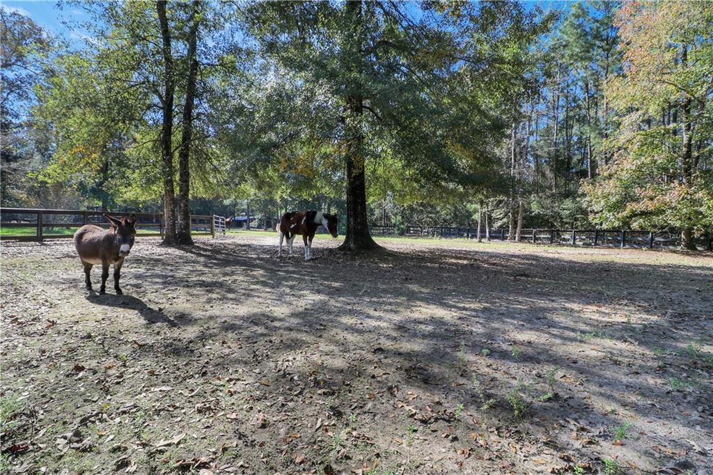 32 Pine Edge Lane, Covington, Louisiana image 12