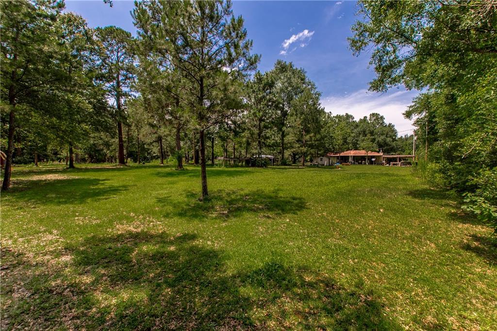 10469 Hwy 1075 Highway, Bogalusa, Louisiana image 26