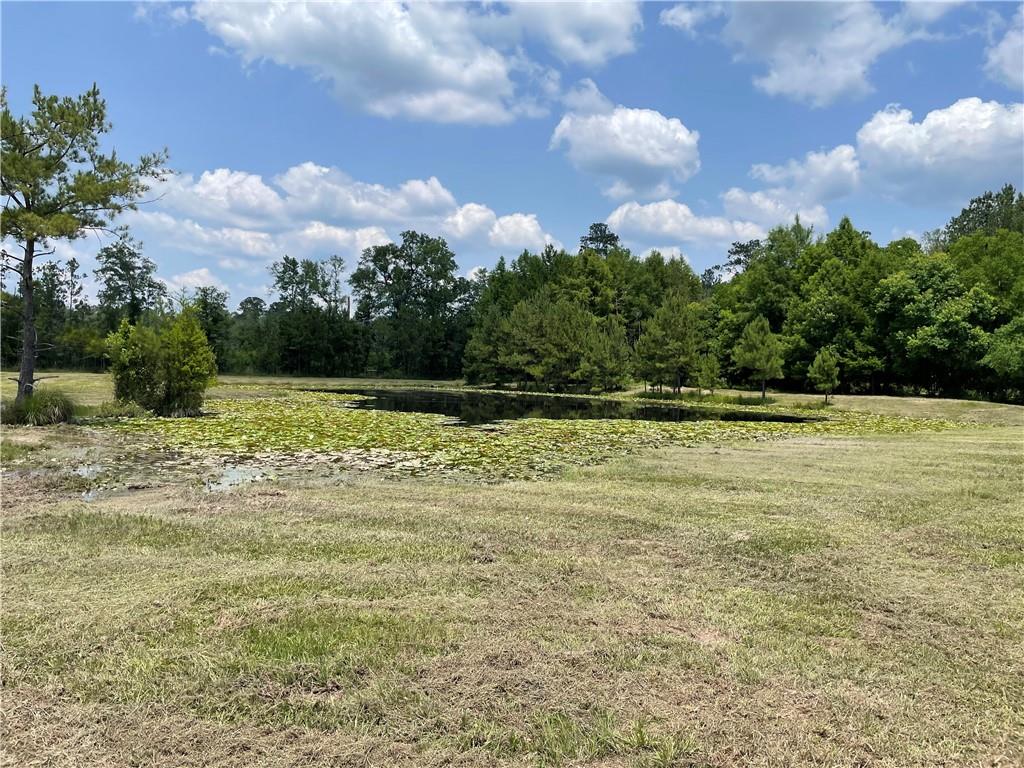 14301 Lee Road, Franklinton, Louisiana image 15