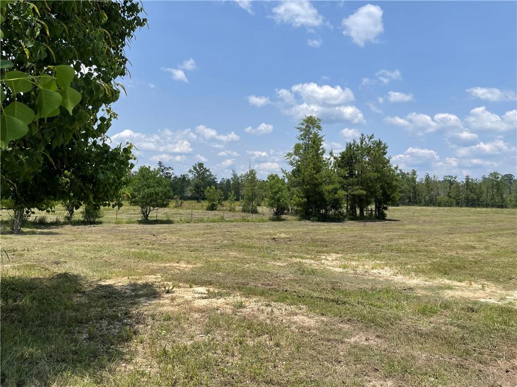 14301 Lee Road, Franklinton, Louisiana image 7