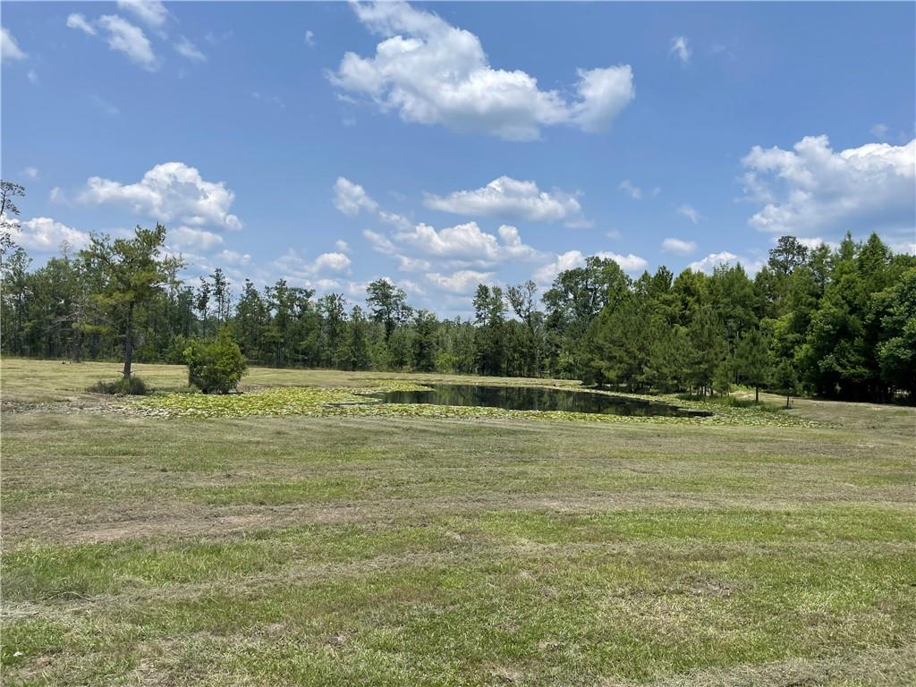 14301 Lee Road, Franklinton, Louisiana image 9