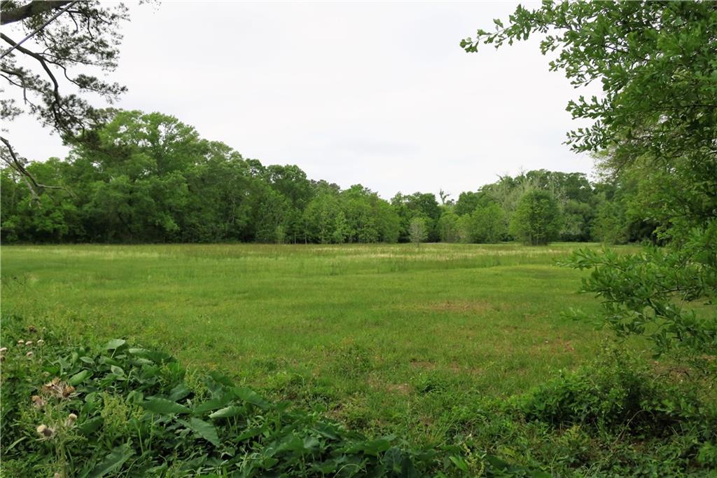 Copal Street, Mandeville, Louisiana image 1