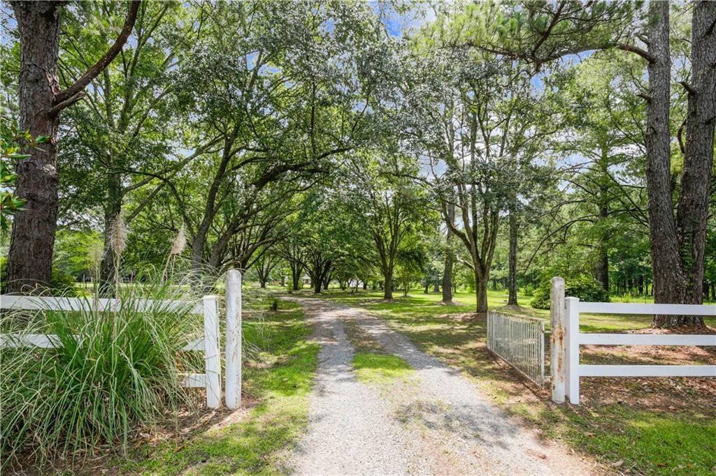 25507 Oak Hill Estates Road, Loranger, Louisiana image 2