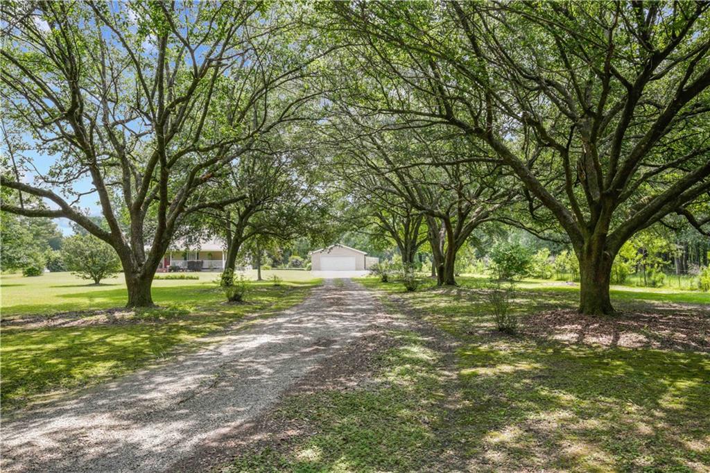 25507 Oak Hill Estates Road, Loranger, Louisiana image 3