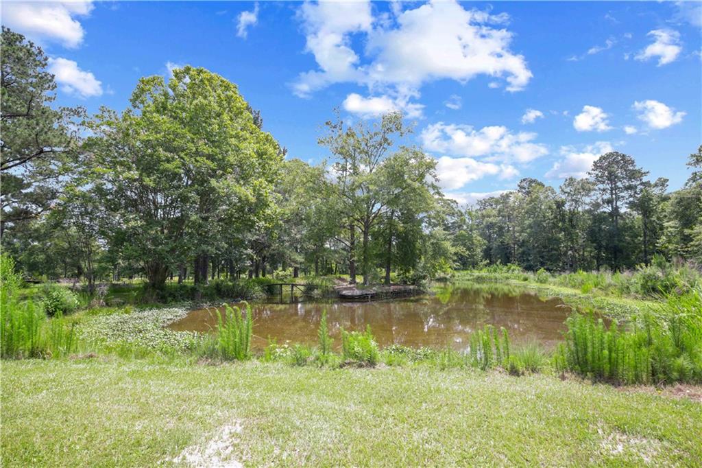 25507 Oak Hill Estates Road, Loranger, Louisiana image 6