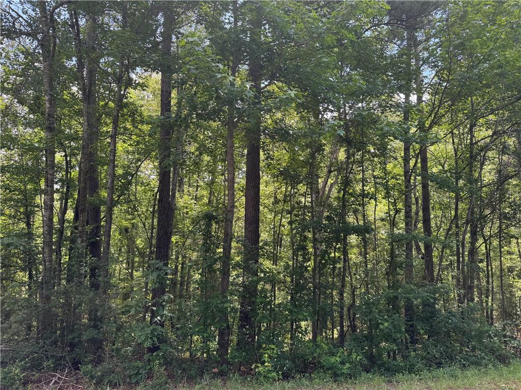 3016 Ashley Road, Hazlehurst, Mississippi image 10