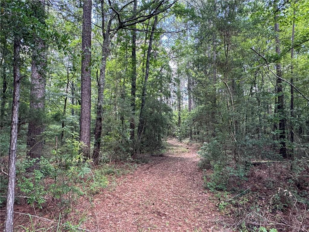 3016 Ashley Road, Hazlehurst, Mississippi image 13