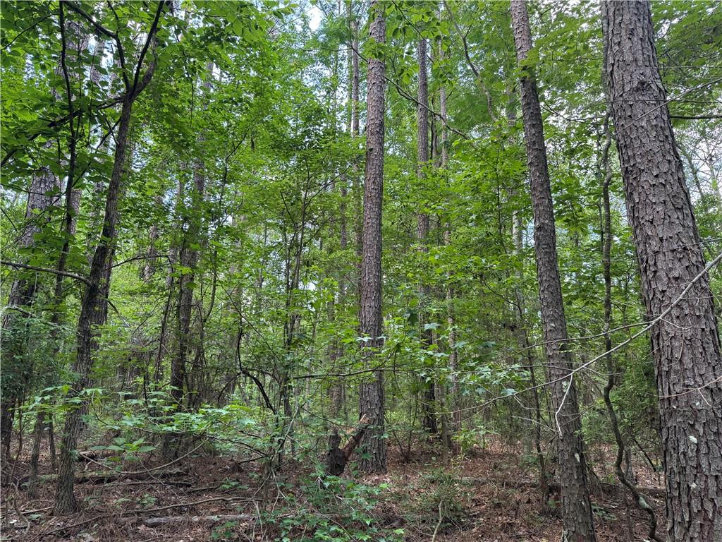 3016 Ashley Road, Hazlehurst, Mississippi image 15