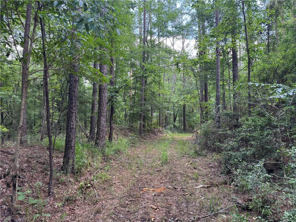 3016 Ashley Road, Hazlehurst, Mississippi image 16