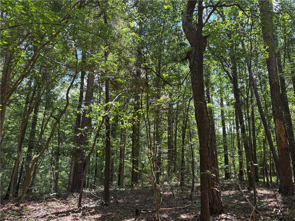 3016 Ashley Road, Hazlehurst, Mississippi image 17
