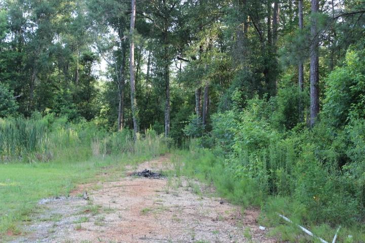 Gordon Jones Road, Hammond, Louisiana image 4