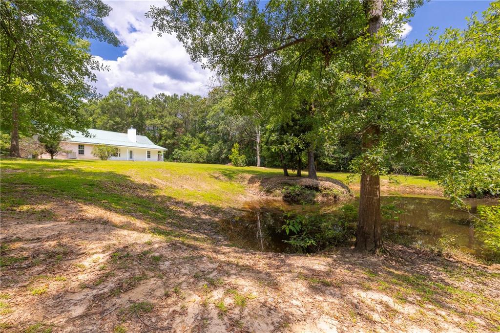 39311 Okefenokee Road, Pearl River, Louisiana image 24