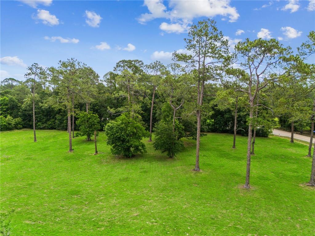 Lot 2 Hwy 435 Highway, Abita Springs, Louisiana image 6